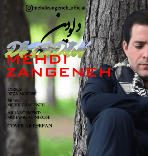 مهدی زنگنه دل و دین